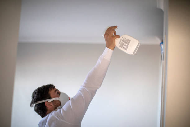 Mold Removal and Inspection in Roosevelt, UT