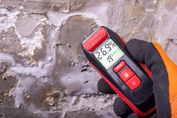 Best Commercial Mold Removal  in Roosevelt, UT