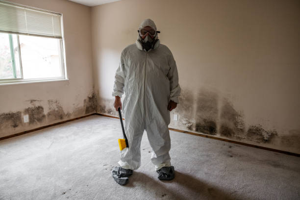 Best Crawl Space Mold Removal  in Roosevelt, UT